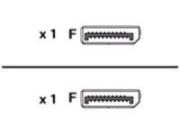 AddOn - DisplayPort adapter