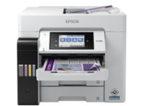 Epson WorkForce Pro ST-C5500