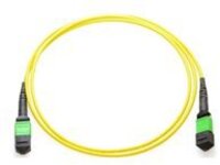 Axiom - Network cable