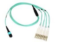 Axiom - Breakout cable