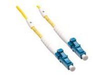 Axiom - Network cable