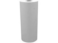 Seiko Instruments - Roll (11.2 cm x 25 m) 1 roll(s) thermal paper