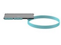 OM4 24F PLENUM LC CASS RIGHT