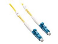 Axiom - Network cable