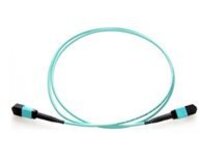 Axiom - Trunk cable - TAA Compliant