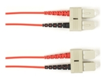 Black Box - Patch cable