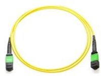 Axiom - Trunk cable - TAA Compliant
