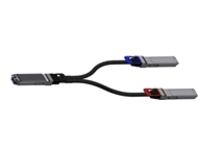 NVIDIA - 800GBase direct attach splitter