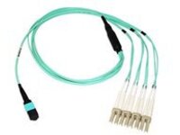 Axiom - Breakout cable