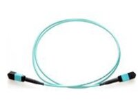 Axiom - Network cable