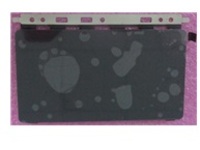 HP - Touchpad