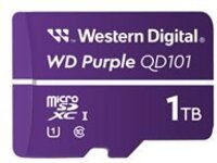 WD Purple WDD100T1P0C