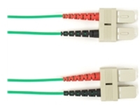 Black Box - Patch cable
