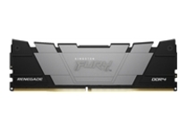 Kingston FURY Renegade