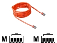 Belkin - Patch cable
