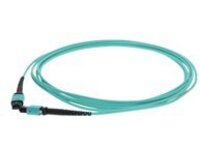 AddOn - Patch cable - MPO multi-mode (F) to MPO multi-mode (F)