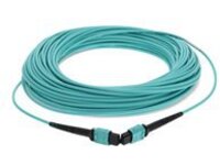 AddOn - Patch cable - MPO/PC multi-mode (F) to MPO/PC multi-mode (F)
