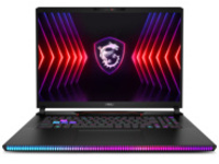 MSI Raider GE78 HX 14VGG-254US