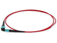AddOn - Patch cable - MPO/PC multi-mode (F) to MPO/PC multi-mode (F)