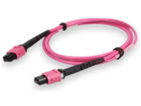 AddOn - Patch cable - MPO/PC multi-mode (F) to MPO/PC multi-mode (F)