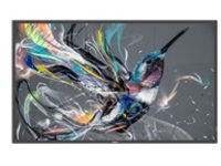 Philips 55BDL3650QE - 55" Diagonal Class (54.6" viewable)