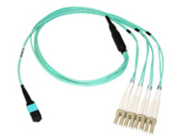 Axiom - Network cable
