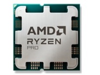 AMD Ryzen 3 Pro 8300GE