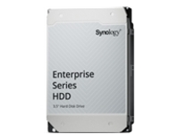 Synology HAT5310 - Hard drive