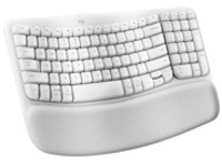 Logitech Ergo Series Wave Keys for Mac