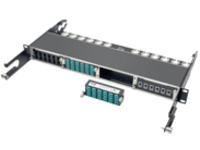Tripp Lite 10GbE High Density Pass-Through Cassette 12 LC Duplex Connection
