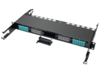 Tripp Lite 100Gb/120Gb Pass Through Cassette (x6) 24-Fiber MTP/MPO Coupler