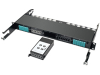 Tripp Lite 2 x 24 Fiber MTP/MPO to 6 x 12 Fiber MTP/MPO Breakout Cassette