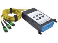Tripp Lite Fiber Breakout Cassette w/Built-In MTP Cables, 9/125 40 GB to 10 GB, (x3) 8-Fiber Singlemode MTP/MPO to (x12) LC Duplex