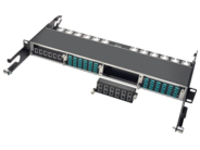 Eaton Tripp Lite Series 40Gb High Density Pass-Through Cassette 12 12-Fiber MTP/MPO