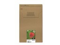 Epson Multipack 29 EasyMail