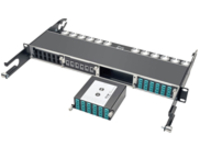 Tripp Lite 100Gb/120Gb to10Gb Breakout Cassette 24-Fiber MTP/MPO 12 LC
