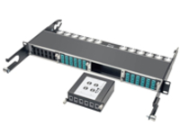 Tripp Lite 100Gb/120Gb to 40Gb Breakout Cassette 2 24-Fiber to 6 12-Fiber