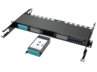 Tripp Lite 24-Fiber Patch Panel MTP/MPO to x12 LC 10Gb Breakout Cassette