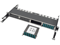 Tripp Lite 40G to 10G Breakout Cassette 2 12-Fiber MTP/MPO to 12 LC Duplex