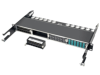 Tripp Lite High Density Cat5e / Cat6 Pass-Through Cassette 12 RJ45