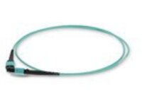 AddOn 10m MPO OM4 Aqua Patch Cable