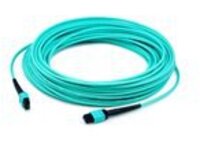 AddOn - Patch cable - MPO/PC multi-mode (F) to MPO/PC multi-mode (F)