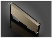 NVIDIA A2 - GPU computing processor