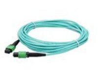 AddOn - Patch cable - MPO/APC multi-mode (F) to MPO/APC multi-mode (F)