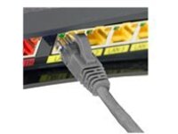 4XEM - Patch cable - RJ-45 (M) to RJ-45 (M)