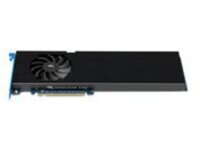 OWC Accelsior 8M2 - SSD