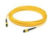 AddOn - Patch cable - TAA Compliant