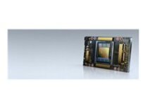 NVIDIA A100 - GPU computing processor