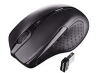 CHERRY MW 3000 - Mouse