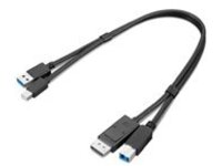 Lenovo Dual Head - Display / USB cable kit